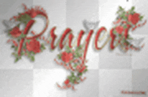 Text gif. On a gray and white checkered background, the word “prayers” is displayed in red cursive font, adorned with roses and three white doves gently flapping their wings.