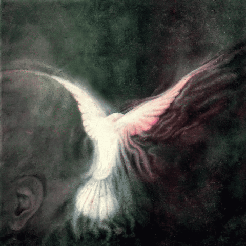 paullonden giphyupload dove album cover emerson lake palmer GIF