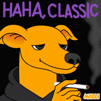 Shiba Inu Lol GIF by MILLI