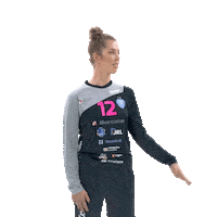 Handball Slovenia Sticker by RK Krim