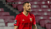Sorry Sl Benfica GIF by Sport Lisboa e Benfica