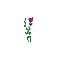 emijunnie flower blink hana onoshi Sticker