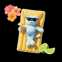 Cat Vacation GIF by comfortseoul