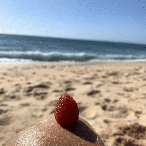 EqualFood giphyupload beach berries equalfood GIF