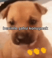 Rüzgar GIF