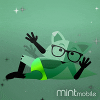 Chilling Living The Life GIF by mintmobile