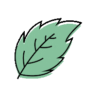 Mint Garnish Sticker by Cocktail.Shop