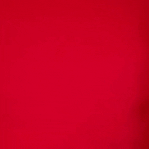 Lexy Hightower GIF by Texas Tech Women's Basketball