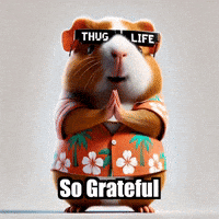 Gratitude Appreciate GIF by Guinea Gambino