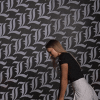 Go Cards GIF by Louisville Cardinals