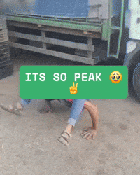 Peak GIF
