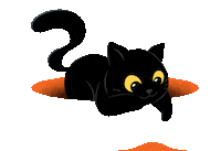 Gato Preto Sticker by Formato Comunicação