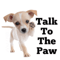 dog talk Sticker by MISO PUP