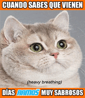dÃ­as ramos heavy breathing GIF by Carnes RAmos