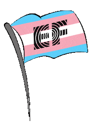 pride parade Sticker by EF Education First