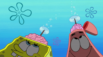Episode 1 Whirly Brains GIF by SpongeBob SquarePants