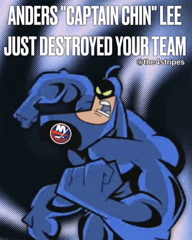 New York Islanders Hockey GIF