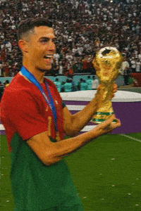 Football World GIF
