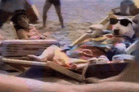 Relaxing Spuds Mackenzie GIF