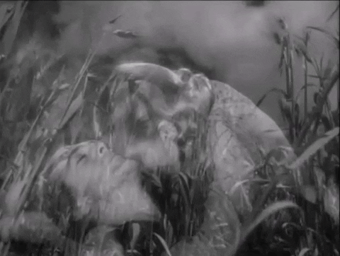 mataduarte giphygifmaker gary cooper jean arthur the plainsman GIF