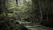 builder GIF by EchoBoom Sports