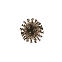 Big Bang Dog Sticker by BigBangStore