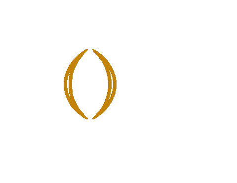Espn Ncaa Sticker by College Football Playoff