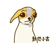 Animation Dog GIF