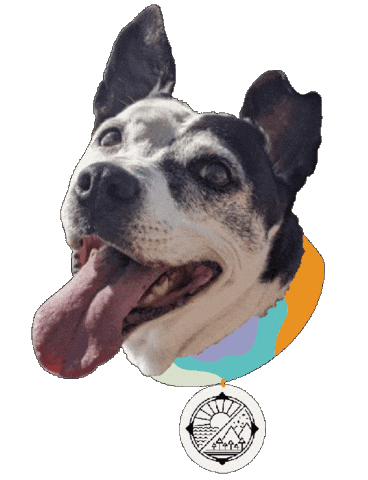 Voyager Craft Coffee Sticker by Andrew Haener