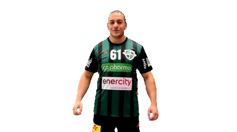 Sport Handball Sticker by DIE RECKEN