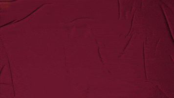College Baseball GIF by Pearl River Athletics