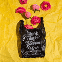 Flowers Garbage GIF by Phyllis Ma