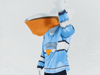 PelicansFi what hockey oh no mascot GIF