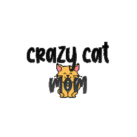 Cat Catlove Sticker by tSocial