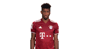 France Wow Sticker by Bundesliga