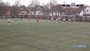 Kickers Offenbach Goal GIF by 3ECKE11ER