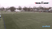 Kickers Offenbach Goal GIF by 3ECKE11ER