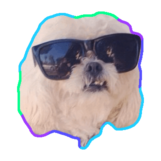 dog STICKER by imoji