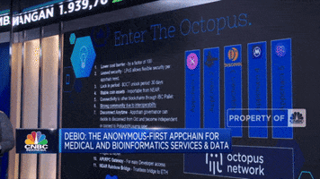 droctopusnetwork  GIF