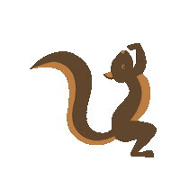 Flipping Squirrel Sticker by Capoeira Brasil Calgary