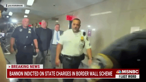 harryfox giphygifmaker steve bannon GIF