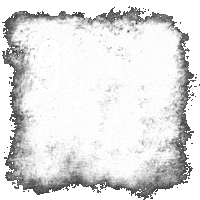 champagneandgumboots gf sweets sunflower sprinkles Sticker