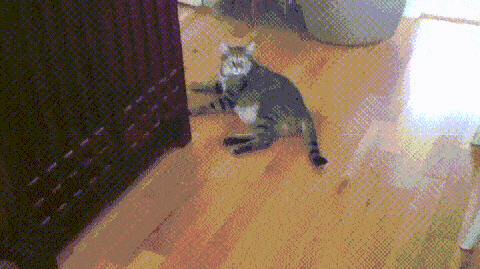 GIF by Demic
