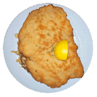 Alex Schnitzel Sticker by JulosTV