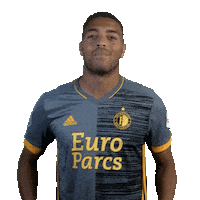 Celebration Goal Sticker by Feyenoord Rotterdam N.V.