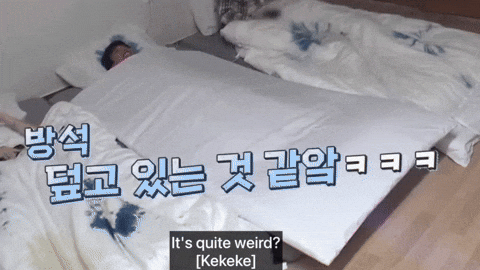 Dk Blanket GIF