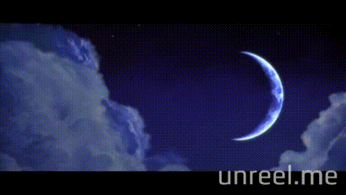american beauty GIF by Unreel Entertainment