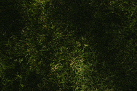 Rogue Ales Summer GIF by Rogue Ales & Spirits