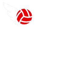 Top Volleyball Sticker by Vodafone Türkiye