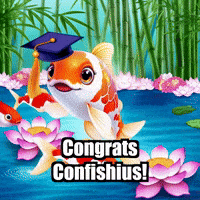 Koi Fish Graduation GIF by TheConfishius